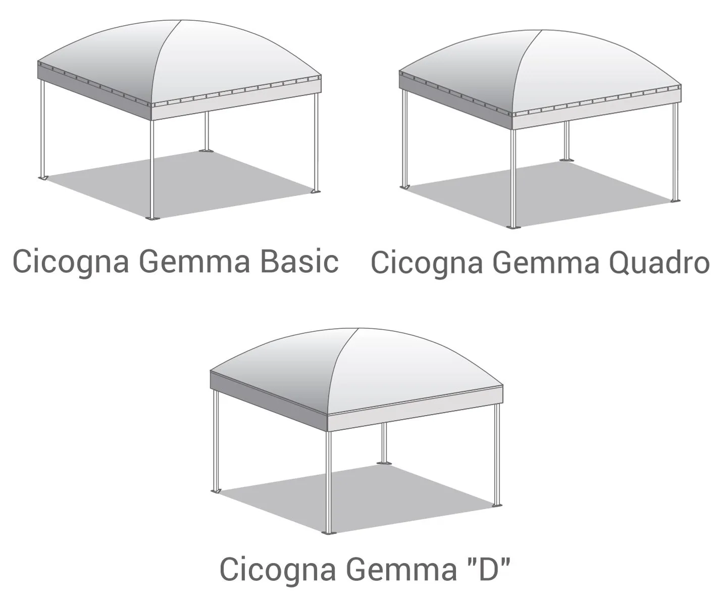 Group 206 (2)